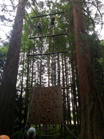 Sequoia Scramble
